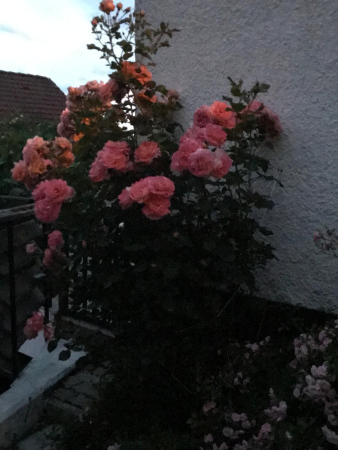 Ferienwohnung mit Terrasse bei Nürnberg Happurg Exterior foto